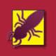 termite