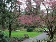 Portland Oregon
