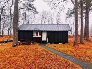 A Custom-Built ADU in the Woods Behind a House