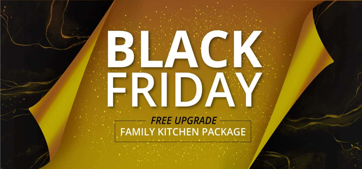 Black Friday Promotion