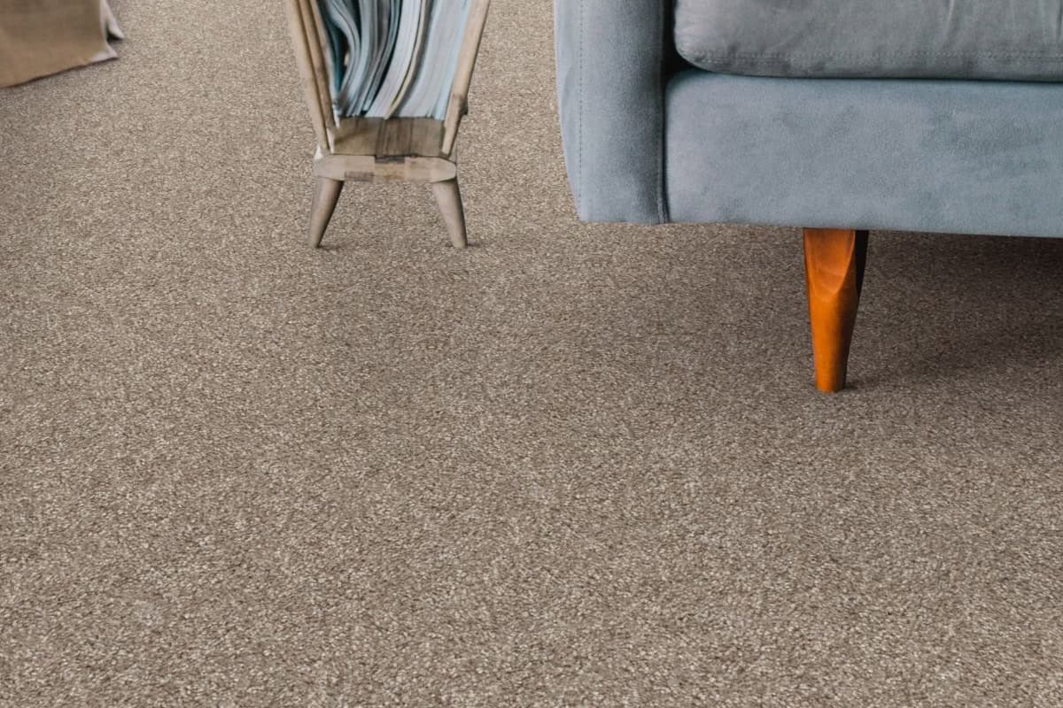 Shaw Flooring ultra durable pet friendly carpet